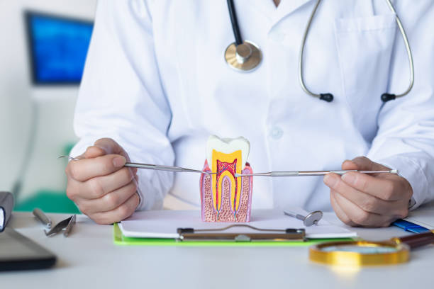 Best Urgent Care for Lost Fillings or Crowns in Coeur Dalene, ID